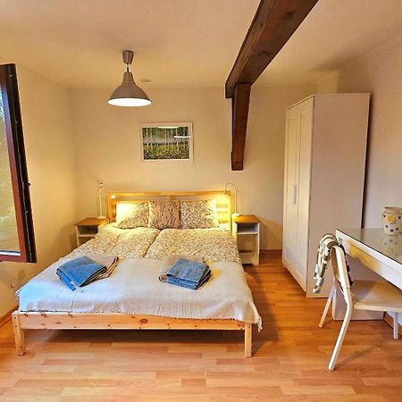 Park Apartment Krakow Bagian luar foto