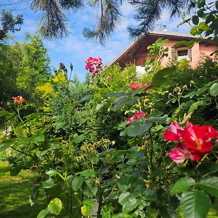 Park Apartment Krakow Bagian luar foto