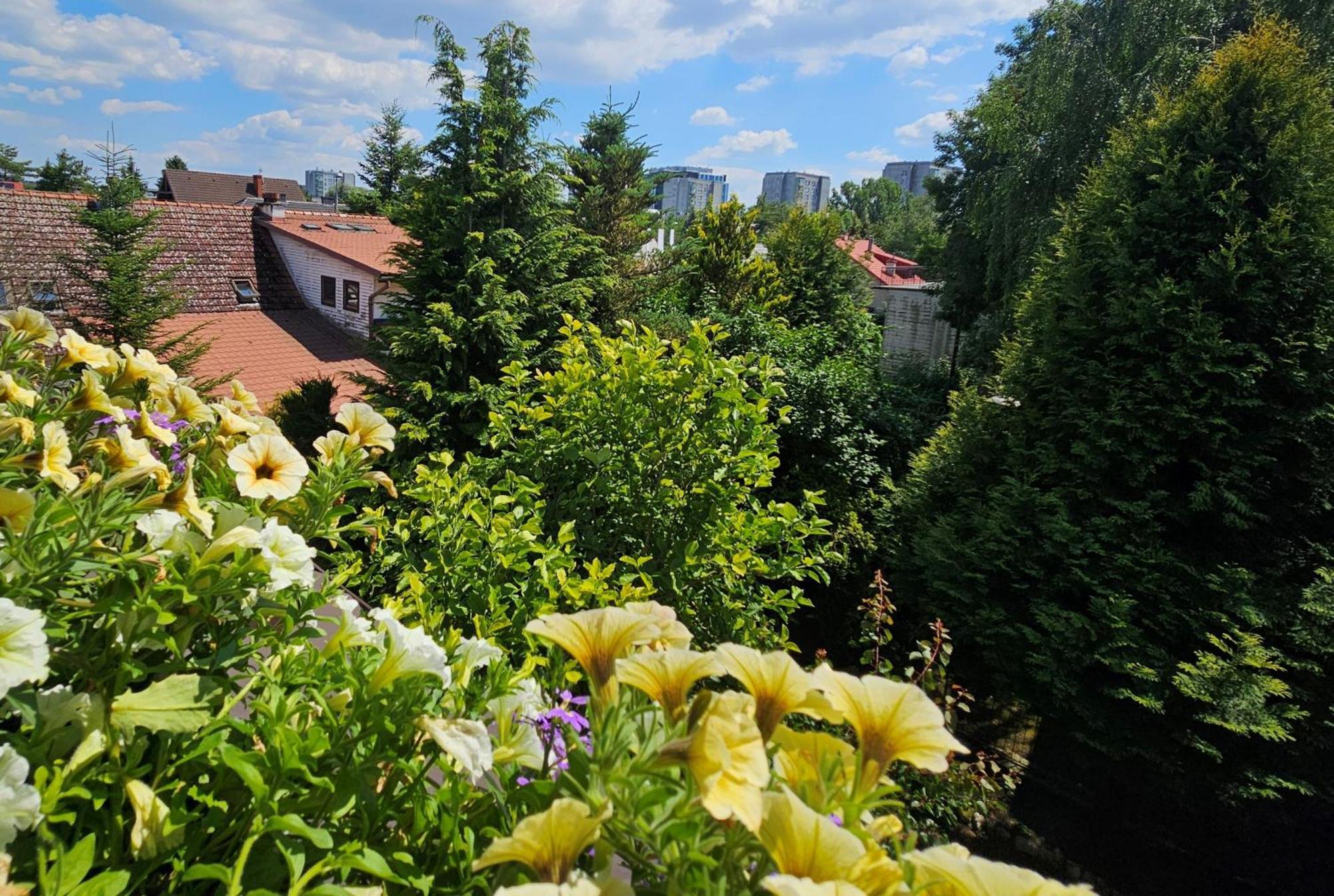 Park Apartment Krakow Bagian luar foto