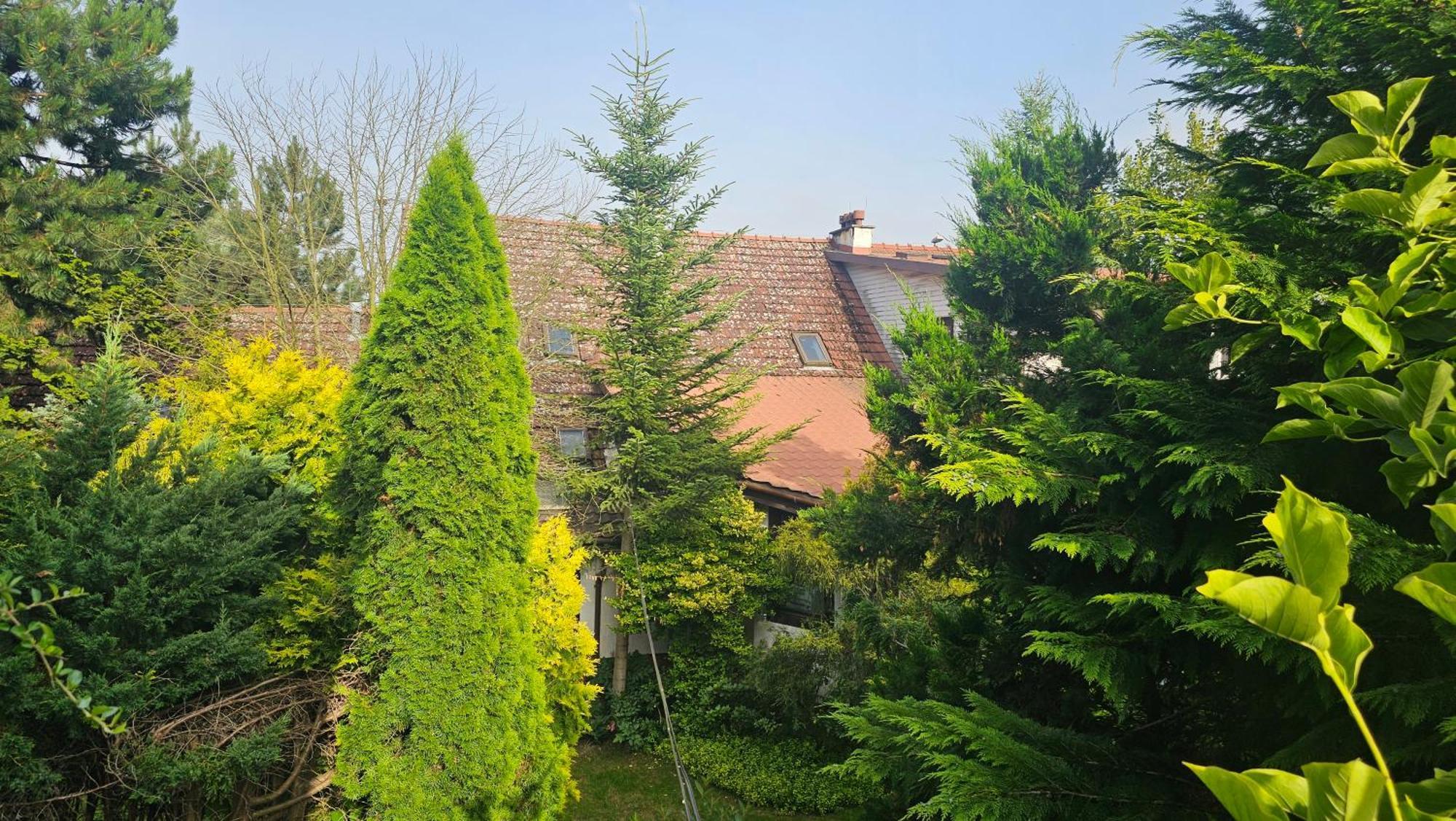 Park Apartment Krakow Bagian luar foto