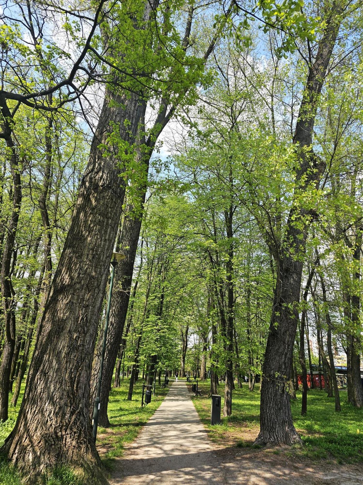 Park Apartment Krakow Bagian luar foto